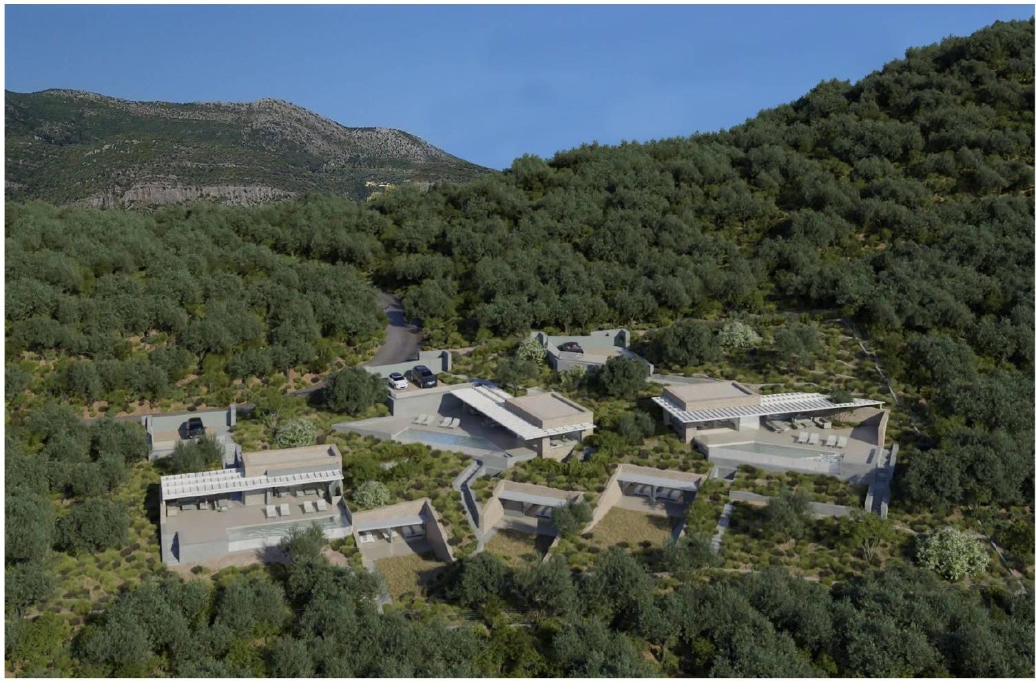 Το συγκρότημα μέσα στους ελαιώνες